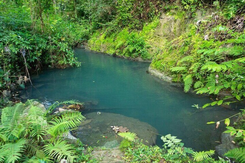 Cave, Waterfall, and River Adventure in Charco Azul; San Juan
