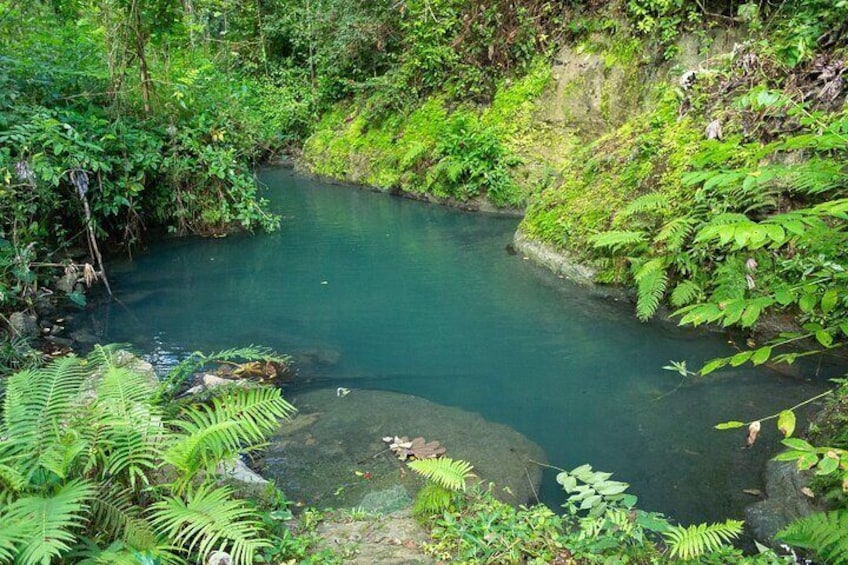 Cave, Waterfall, and River Adventure in Charco Azul; San Juan