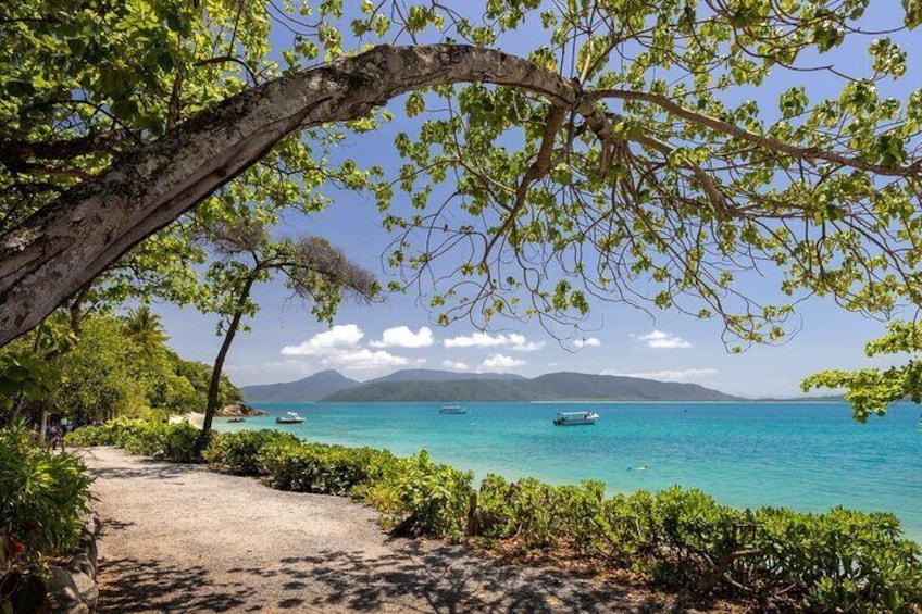 Fitzroy Island Half Day Trip Ferry