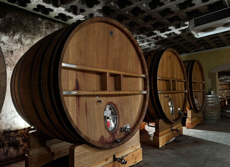 Picture 6 for Activity Châteauneuf-du-Pape: Full-day wine tour with sommelier