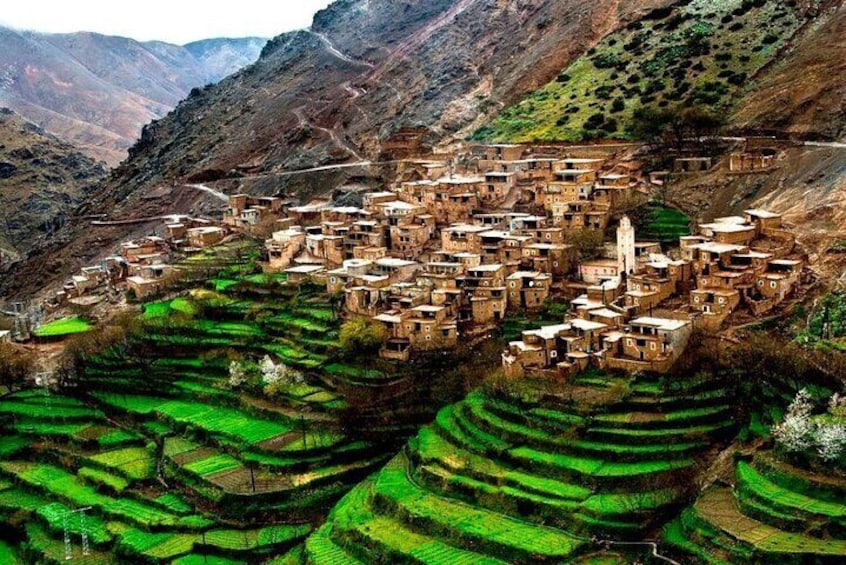 Lunch in the High Atlas: Ourika Valley Waterfalls & 3 Valleys 