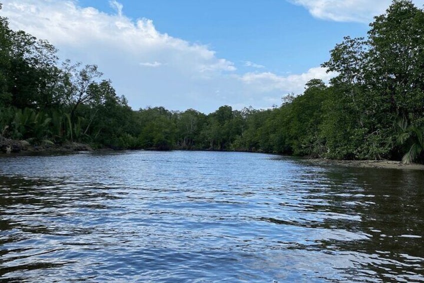 Bongawan River Cruise Proboscis Monkey, Sky Mirror, Fireflies