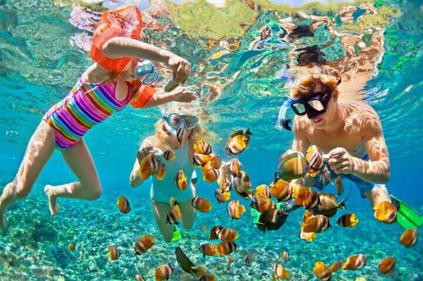 7 in 1 Day Jamaican Adventure with Jhadano Tours