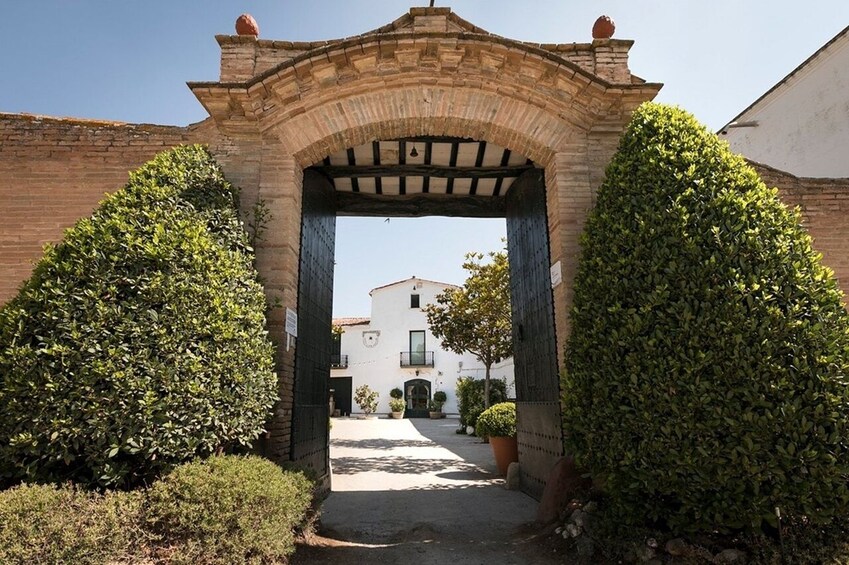Montserrat Half-Day Trip from Barcelona with Lunch & Wine Tasting Option