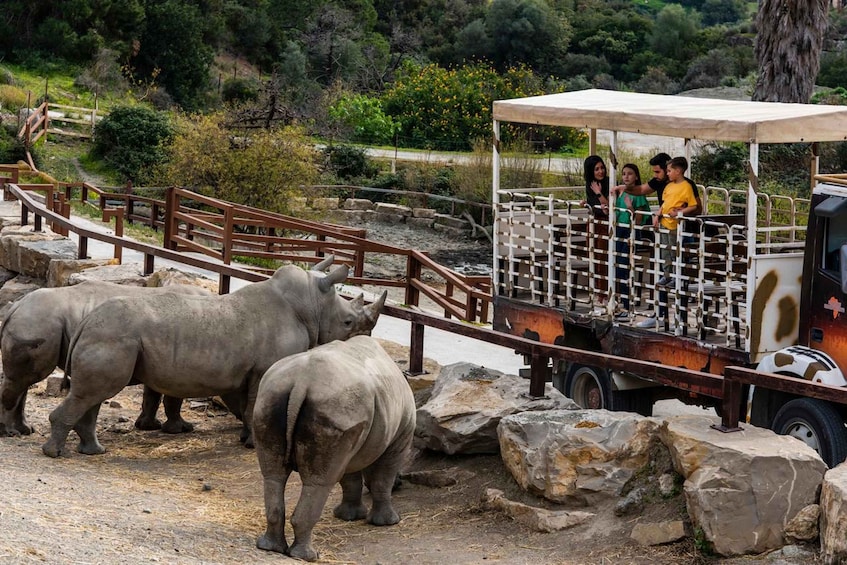 Picture 8 for Activity Selwo Aventura Admission Ticket with Skip-the-Line Access