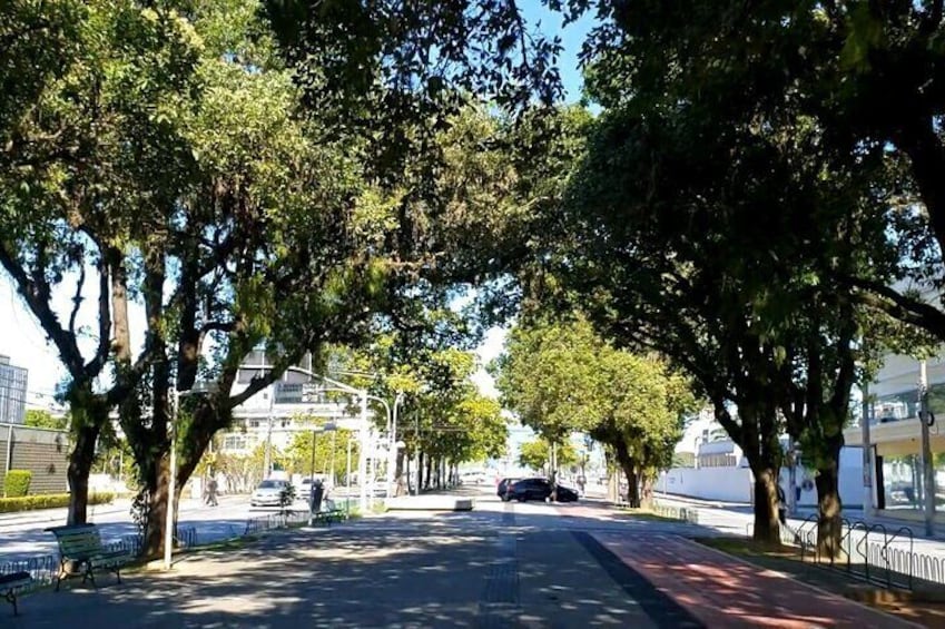 The History of Samba in Florianópolis