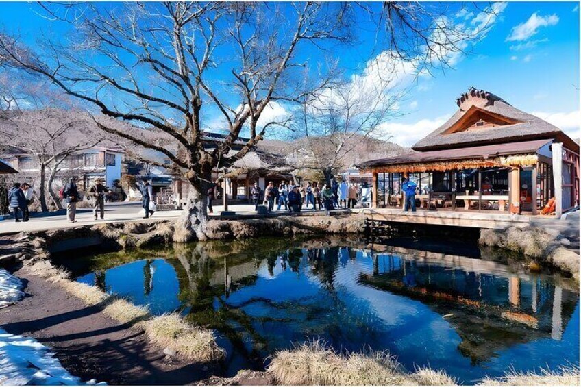 Tokyo Mt Fuji Trip with Kawaguchiko Ropeway and Matcha Tea