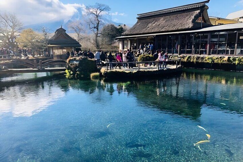Tokyo Mt Fuji Trip with Kawaguchiko Ropeway and Matcha Tea