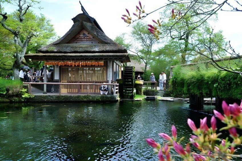 Tokyo Mt Fuji Trip with Kawaguchiko Ropeway and Matcha Tea