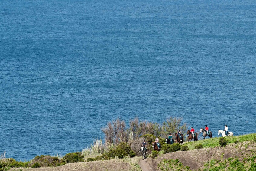 Picture 6 for Activity Faial Island: Horseback Riding on Lusitano Trail