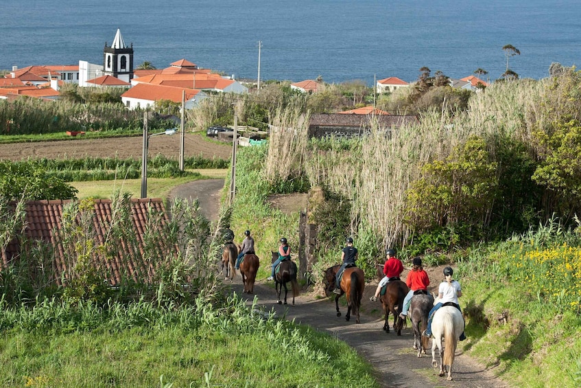 Picture 5 for Activity Faial Island: Horseback Riding on Lusitano Trail
