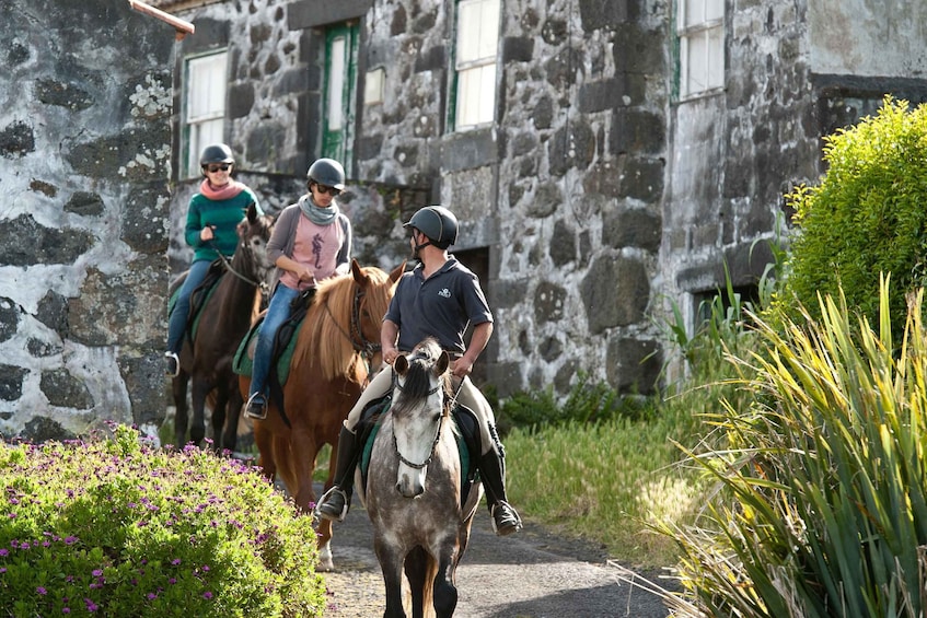 Faial Island: Horseback Riding on Lusitano Trail