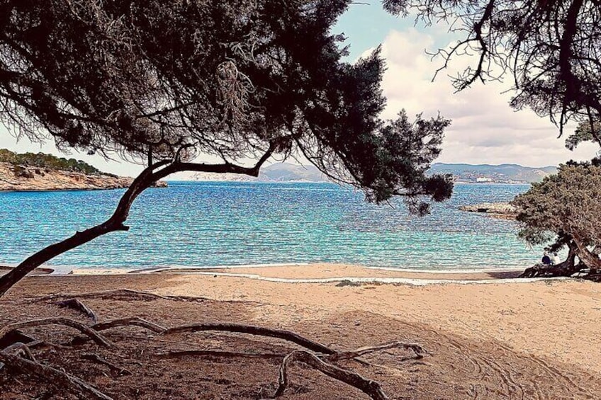 History and Relaxation in Ibiza: Dalt Vila, Cala Bassa and Can Soleil