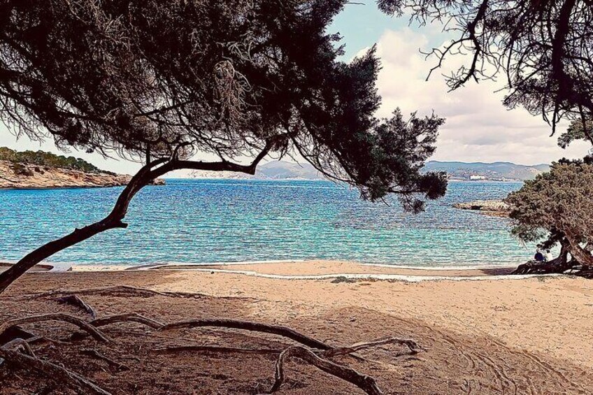 History and Relaxation in Ibiza: Dalt Vila, Cala Bassa and Can Soleil