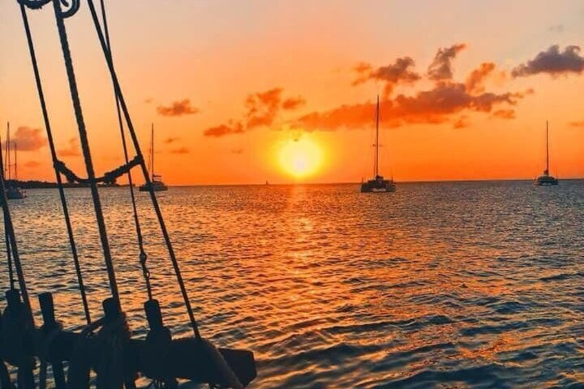 Sunset & Champagne Cruise on a Classic Schooner with boat dogs