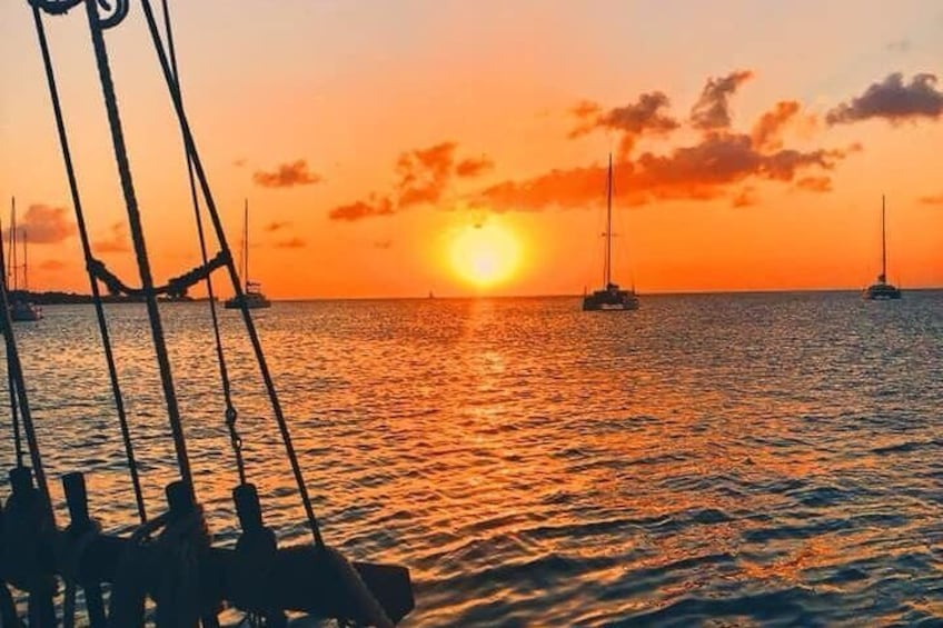 Sunset & Champagne Cruise on a Classic Schooner with boat dogs