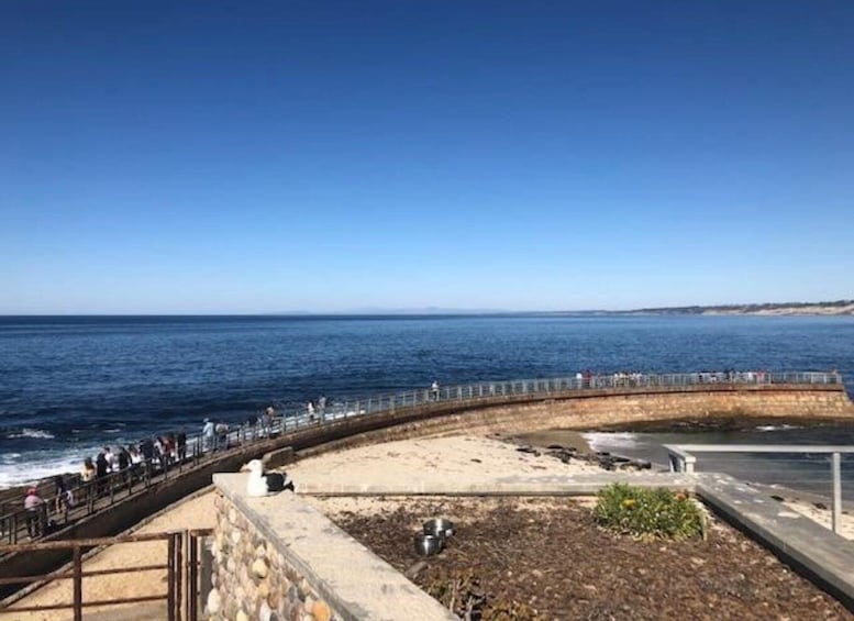 San Diego: La Jolla Scenic 10K Running Tour
