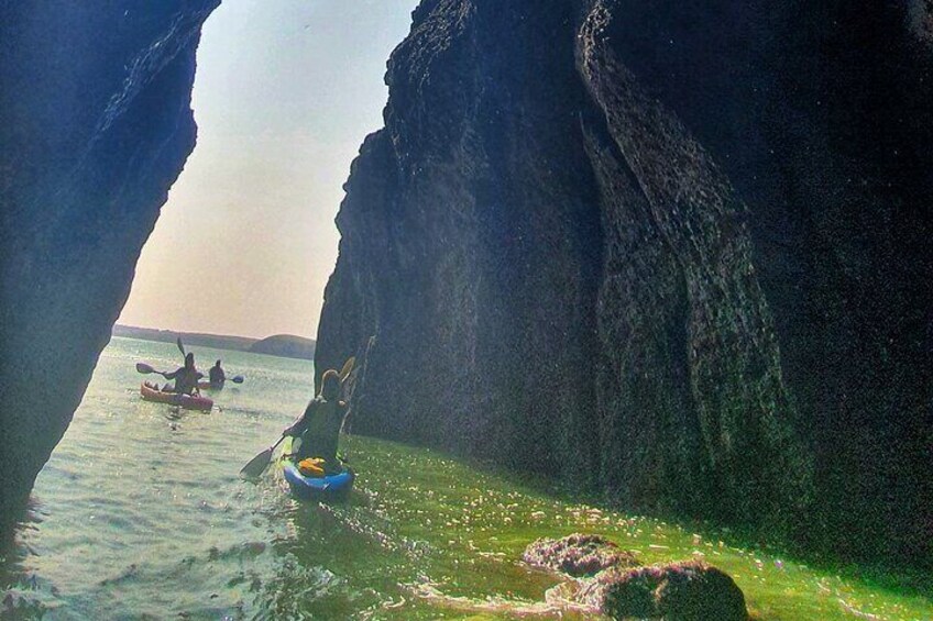 Hell Hole and Back Kayaking Experience
