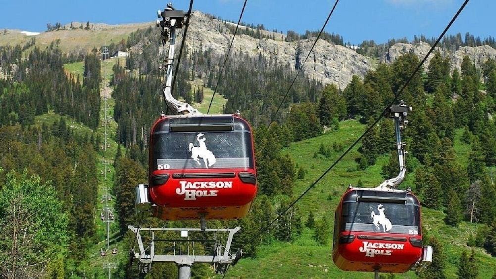 Lodging at Old Faithful Yellowstone & Grand Teton 4-Day Tour