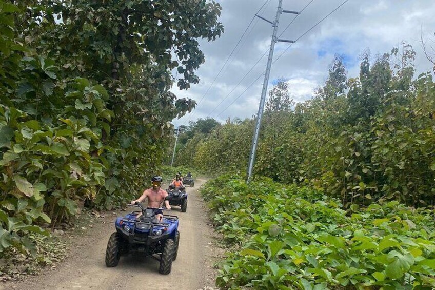 Our trails in the middle of the forest