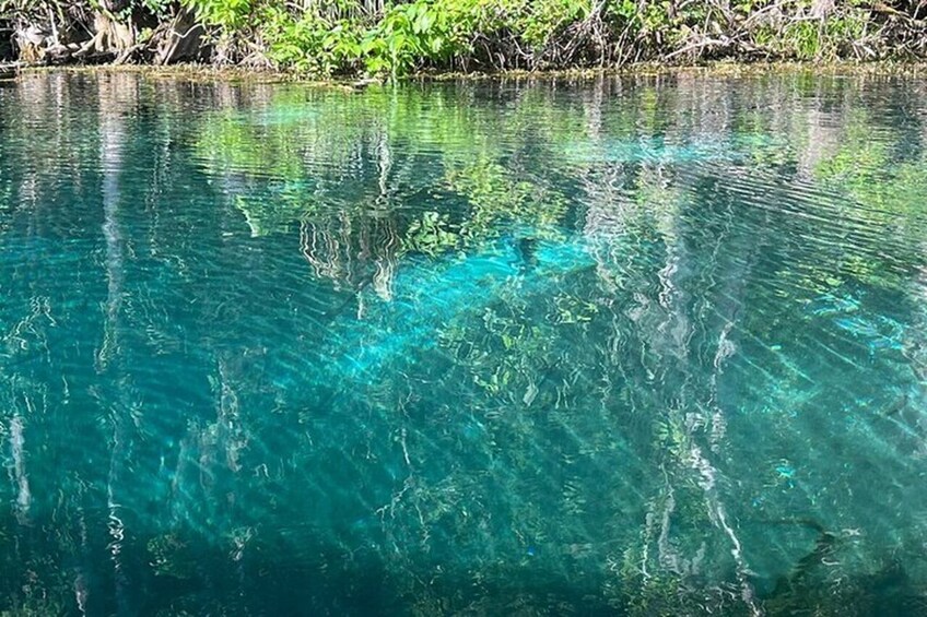 Small Group Silver Springs State Park Day Tour from Orlando