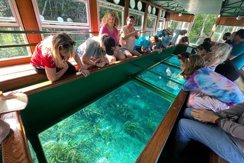 Small Group Silver Springs State Park Day Tour from Orlando
