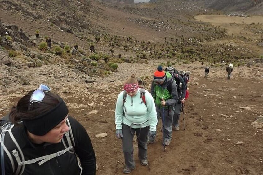 5 Days Mount Kenya Climbing via Sirimon Route