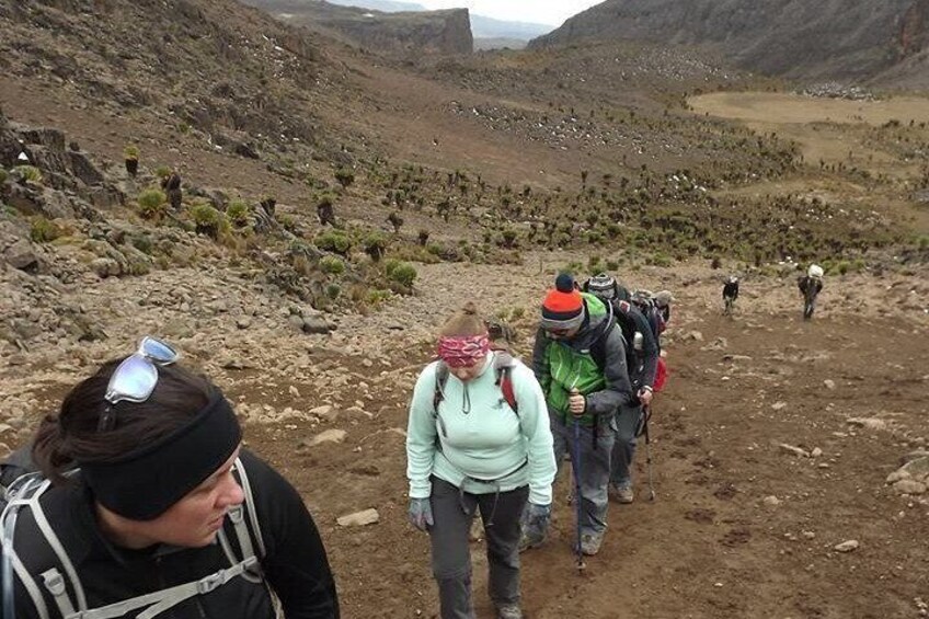 5 Days Mount Kenya Climbing via Sirimon Route