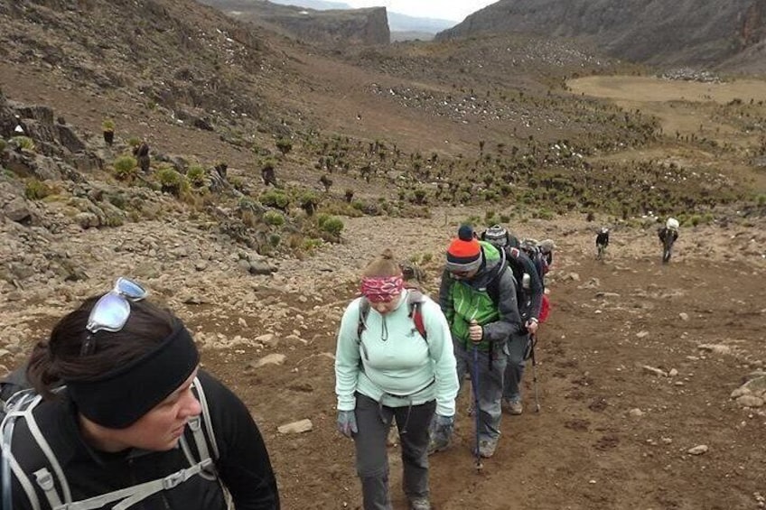 5 Days Mount Kenya Climbing via Sirimon Route