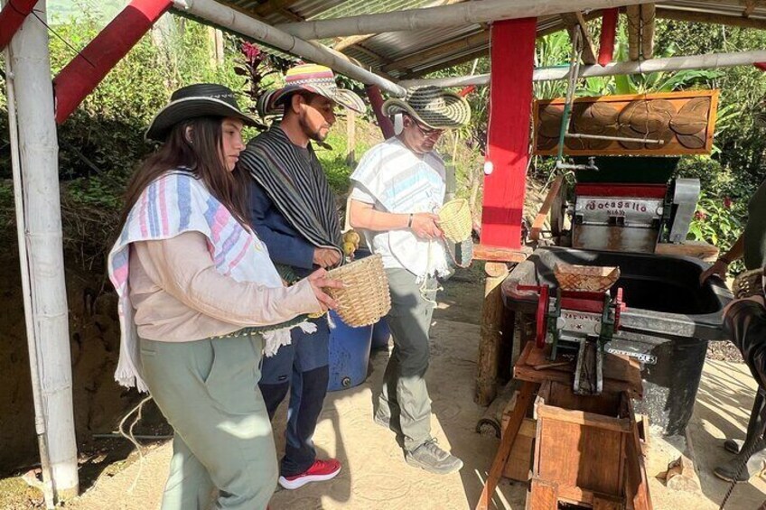 Coffee Farm Shared Tour from Salento
