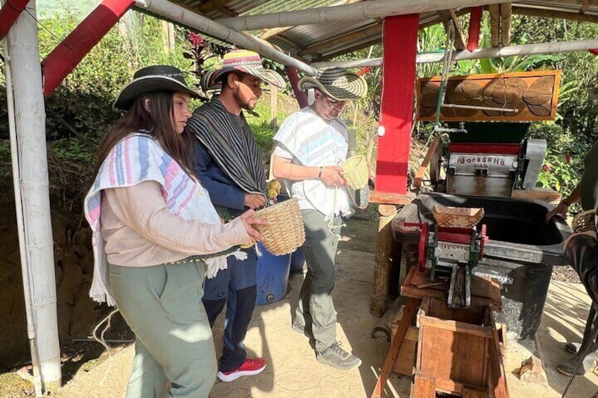 Coffee Farm Shared Tour from Salento