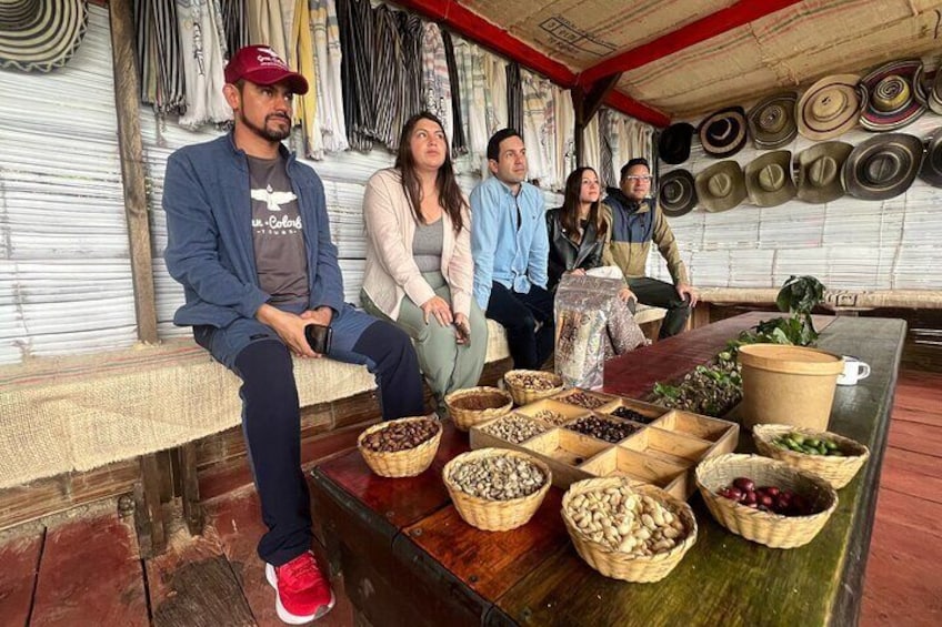 Coffee Farm Shared Tour from Salento