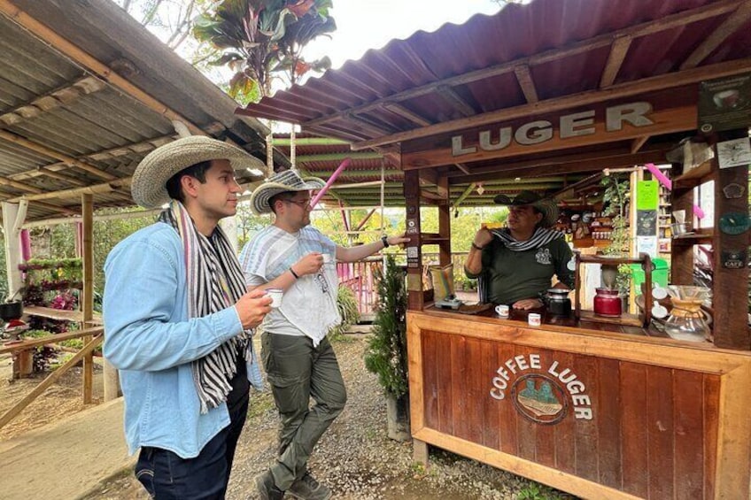Coffee Farm Shared Tour from Salento