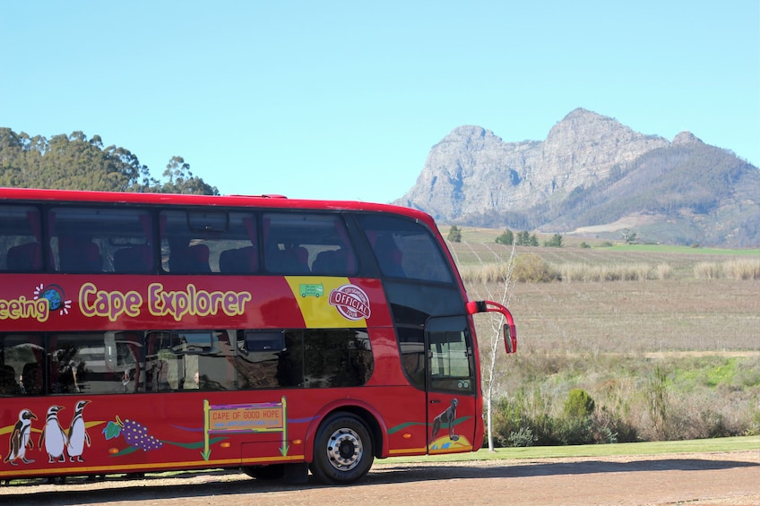 City Sightseeing Cape Town Hop-On Hop-Off Bus Tour + 2 Walking Tours