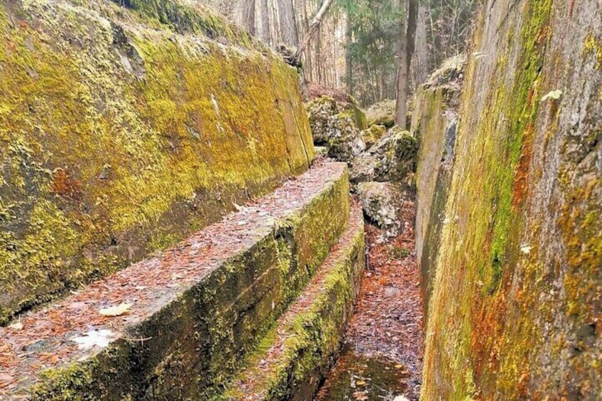Rifle Bay