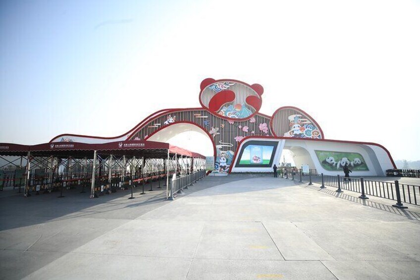 Private Chengdu Panda Half-Day Tour: Immersive & Flexible