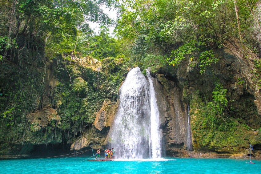 Oslob Whale Shark + Kawasan Falls Day Tour