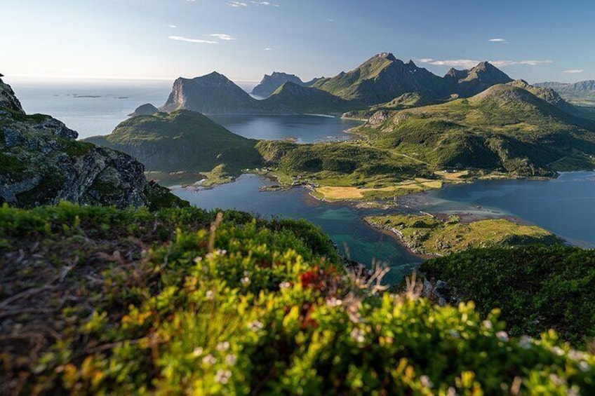 Lofoten 