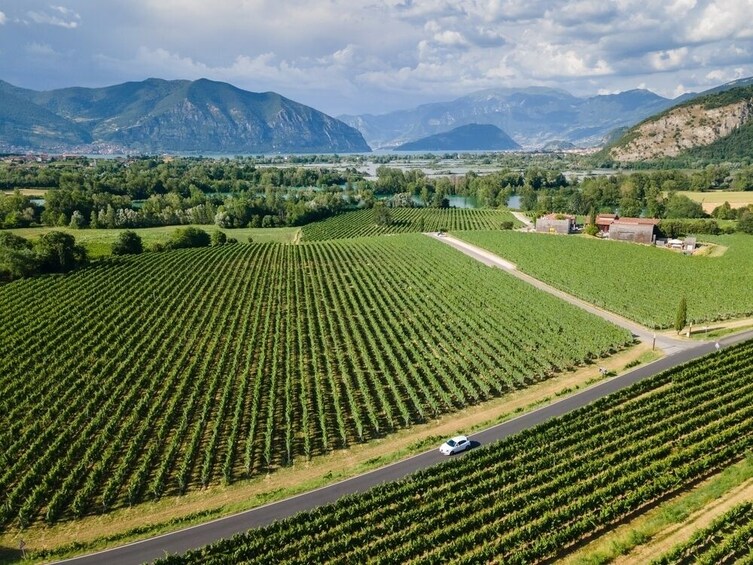 Franciacorta wine region & Lake Iseo cruise from Milan