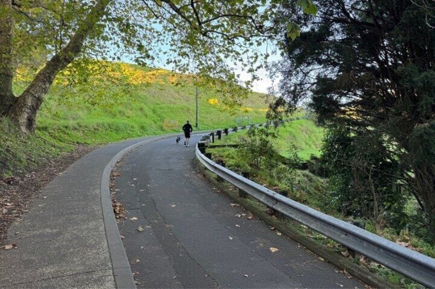Private Sunrise Tour from Auckland Mount Eden and Hidden Gems