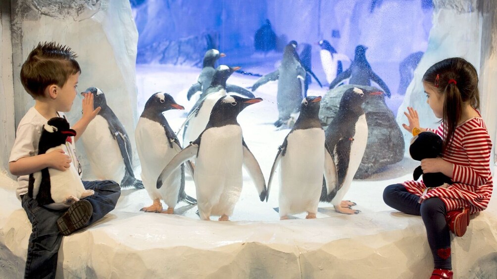 SEA LIFE Birmingham + LEGOLAND Discovery Centre Birmingham + Warwick Castle