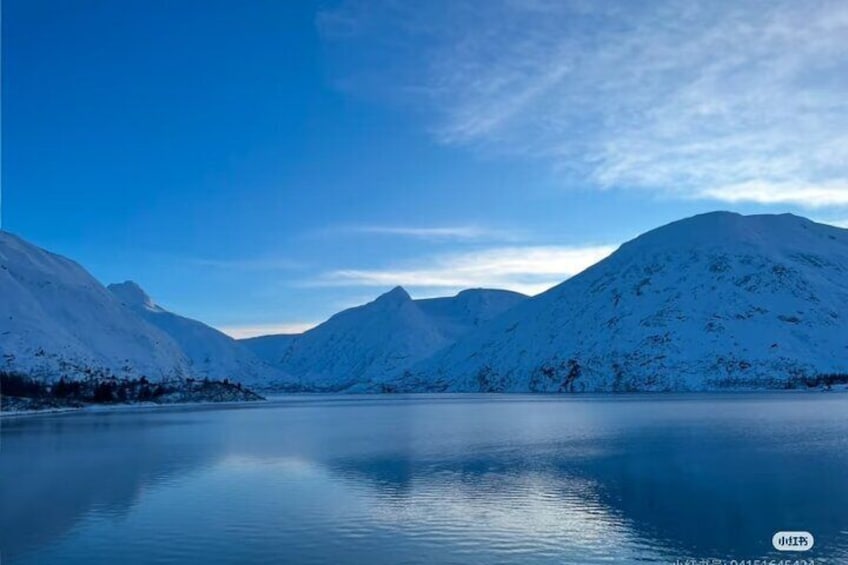 Private Guided Tour between Anchorage and Whitter