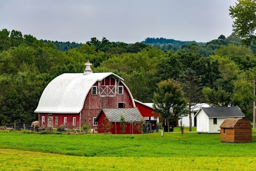Amish Farm and House 1-Day Tour From Washington D.C.