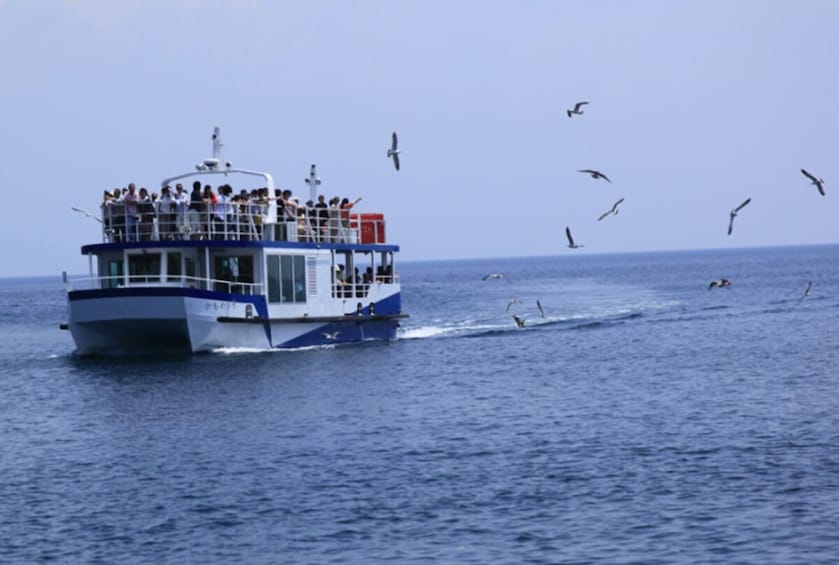From Osaka/Kyoto: Amanohashidate 1-Day Bus Tour with Meal