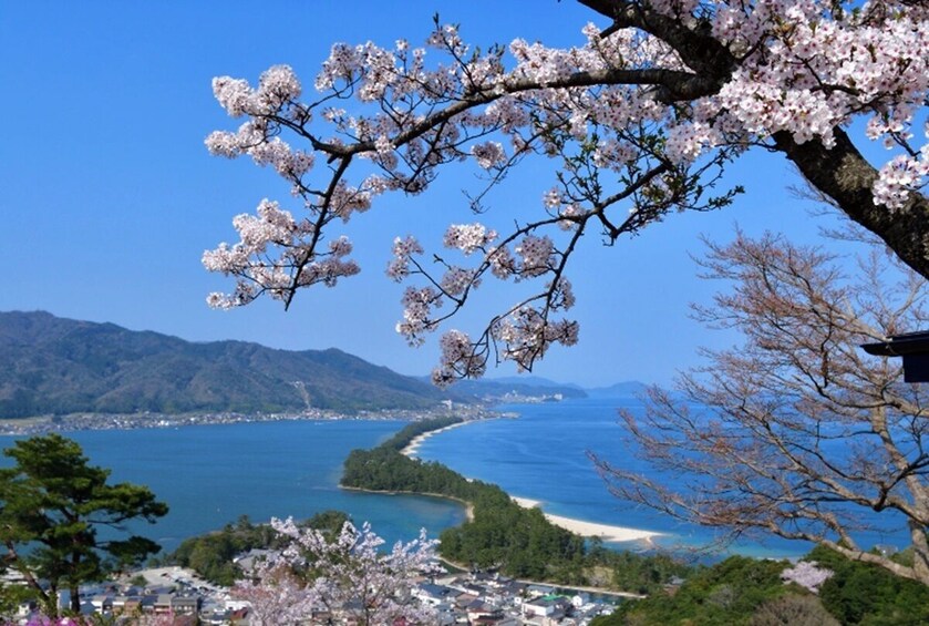 From Osaka/Kyoto: Amanohashidate 1-Day Bus Tour with Meal