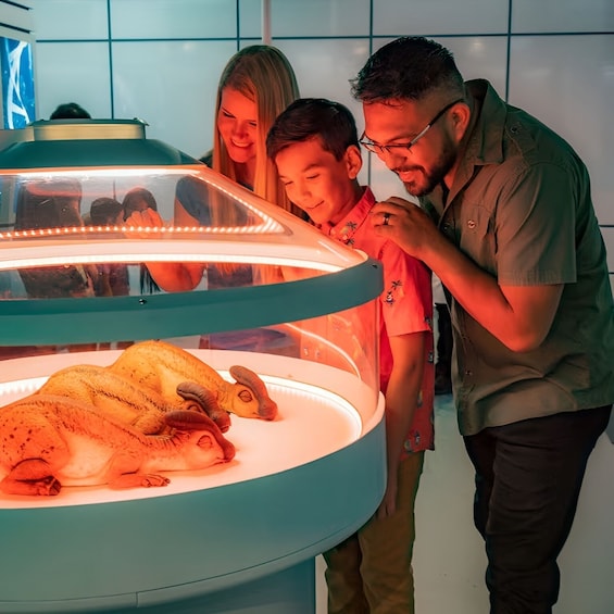 United Kingdom: Jurassic World: The Experience