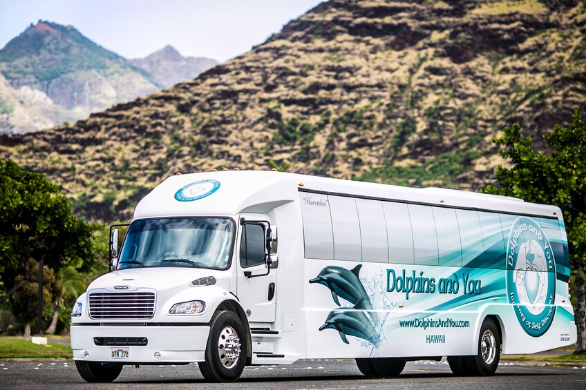 Premiere Oahu Dolphin Cruise with Turtle Snorkeling, 20ft Sea Slide & Lunch