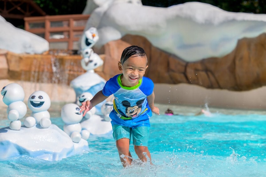 Walt Disney World® Resort Water Park Tickets