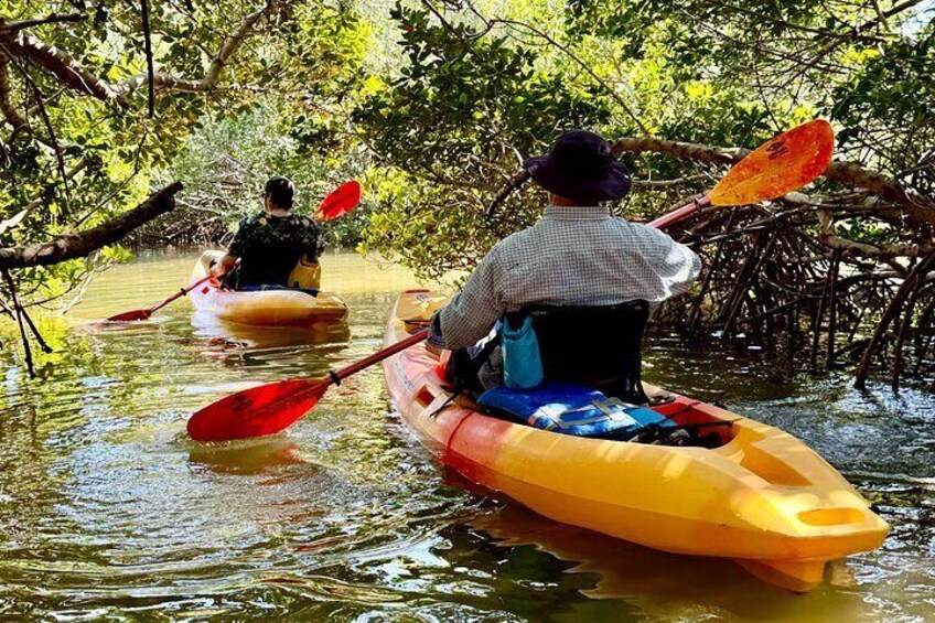 Exclusive Kayak Expedition: Exploring the Mangroves to Shell Key 