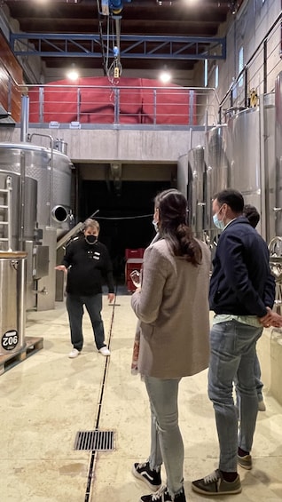Winery Tour and Tasting in Tenerife with the Sommelier